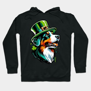 Appenzeller Sennenhund Embraces Saint Patrick's Day Hoodie